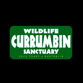 Currumbin-Logo